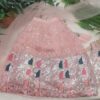 Lehenga Set - Peach Embroidered