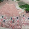 Lehenga Set - Peach Embroidered
