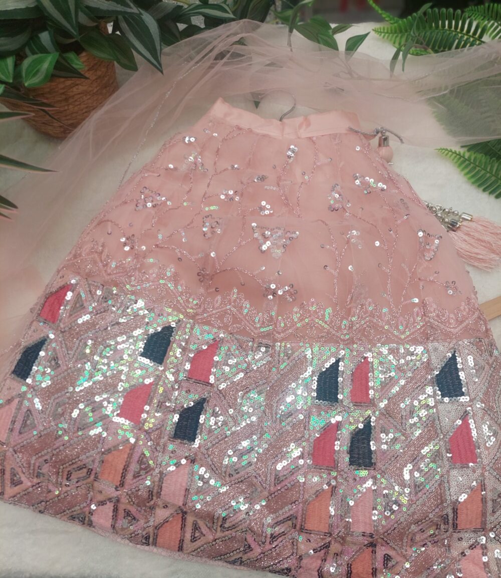 Lehenga Set - Peach Embroidered