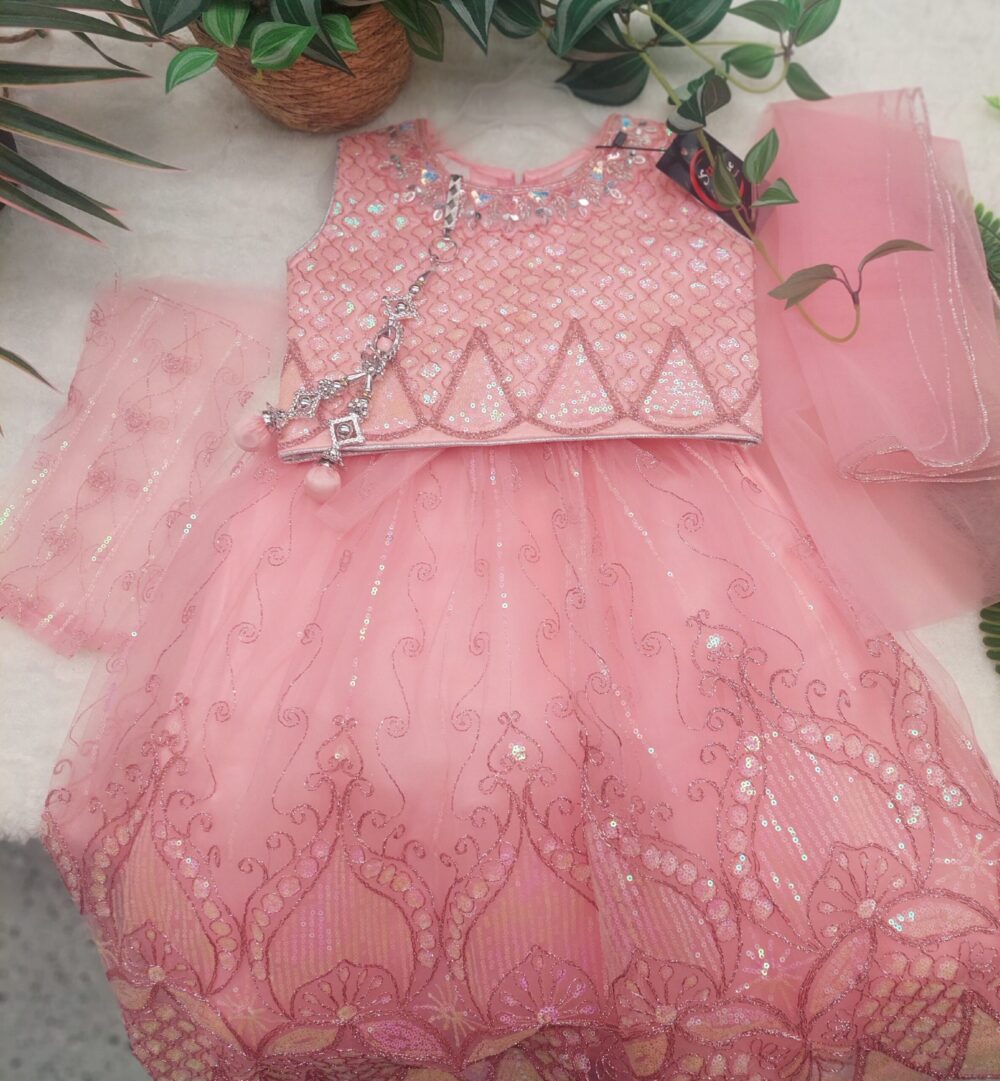 Lehenga Set - Pink