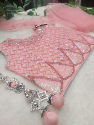 Lehenga Set - Pink